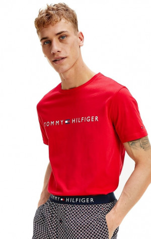 Pánské tričko Tommy Hilfiger UM0UM01434 XNJ