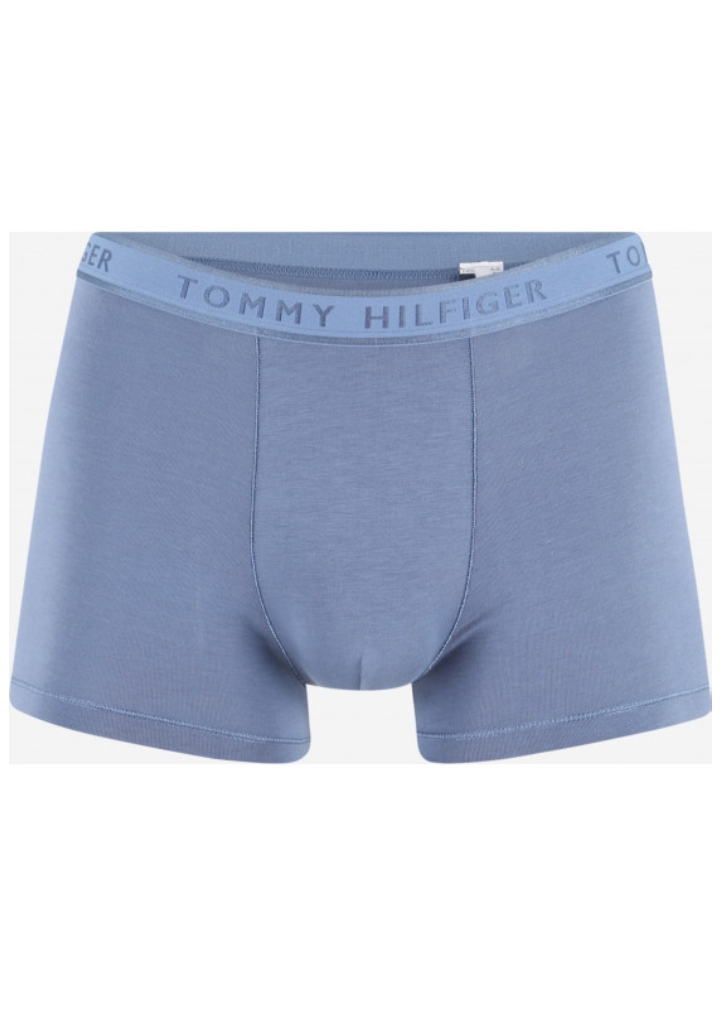 Pánské boxerky Tommy Hilfiger UM0UM02333 M Modrá