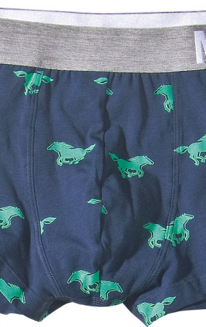 Boxerky Mustang 4058-100