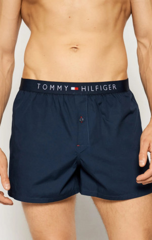 Pánské trenýrky Tommy Hilfiger 1U87905489