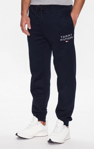 Pánske tepláky Tommy Hilfiger UM0UM02880