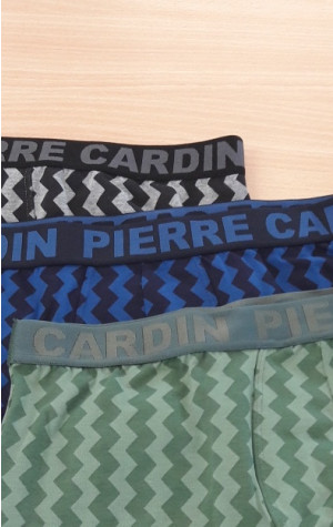 Pánske boxerky Pierre Cardin T127