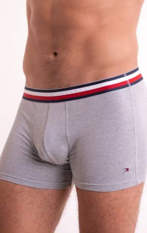 Pánske boxerky Tommy Hilfiger UM0UM00901