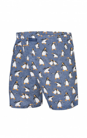 Pánské trenýrky Cornette 016/08