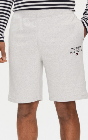 Pánske kraťasy Tommy Hilfiger UM0UM02881