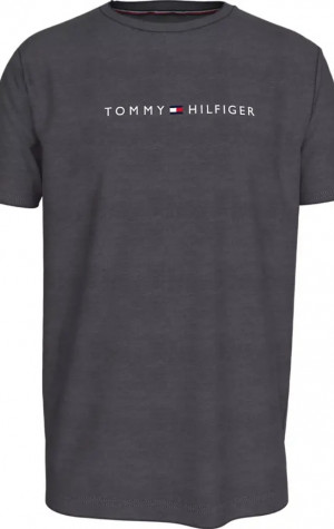 Pánske tričko Tommy Hilfiger UM0UM03344 PTY
