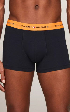 Pánske boxerky Tommy Hilfiger UM0UM02763 0VH 3pack