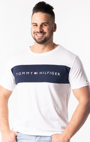 Pánské tričko Tommy Hilfiger UM0UM01170