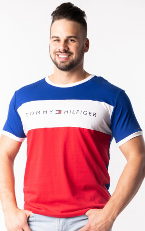 Pánske tričko Tommy Hilfiger UM0UM01170