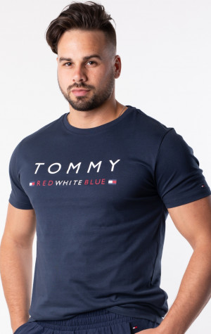 Pánske tričko Tommy Hilfiger UM0UM01167