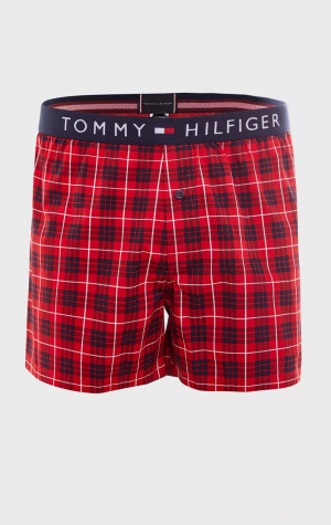 Pánské trenýrky Tommy Hilfiger UM0UM01510