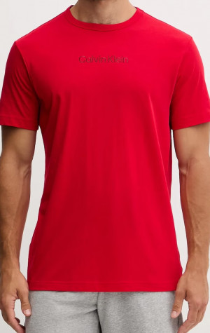 Pánske tričko Calvin Klein NM2748