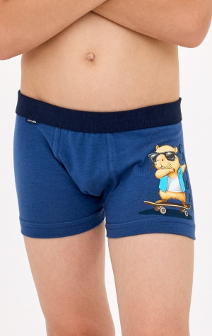 Chlapecké boxerky Cornette 700/150