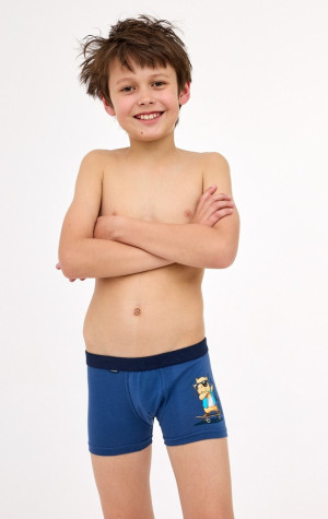 Chlapecké boxerky Cornette 700/150