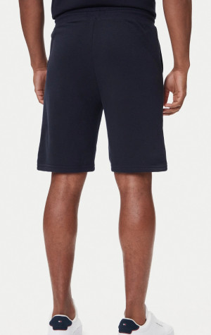 Pánske kraťasy Tommy Hilfiger UM0UM03452