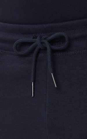 Pánske kraťasy Tommy Hilfiger UM0UM03452