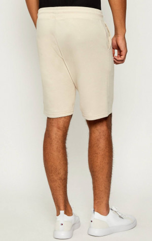 Pánské kraťasy Tommy Hilfiger UM0UM03452