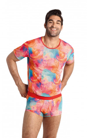 Pánské tričko Falcon T-shirt - Anais