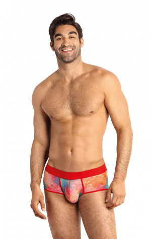 Pánské slipy Falcon brief - Anais