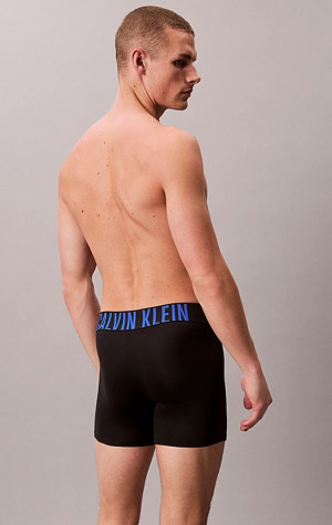 PÁNSKÉ BOXERKY CALVIN KLEIN NB3612 ZDH 3PACK