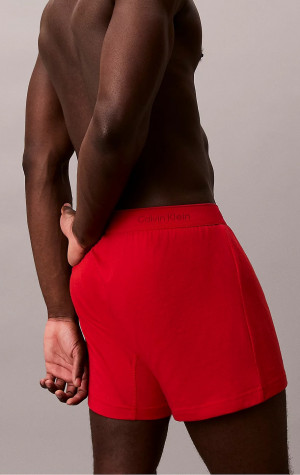 Pánske trenírky Calvin Klein NB4005 058 3PACK