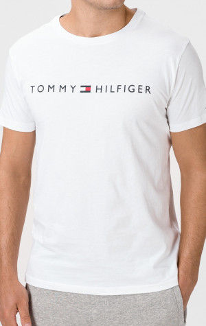 Pánske tričko Tommy Hilfiger UM0UM01434