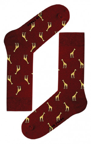 Pánské ponožky John Frank JFLSCOOL52