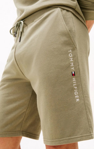 Pánské kraťasy Tommy Hilfiger UM0UM03452