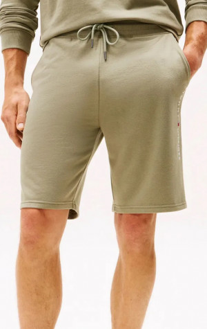 Pánské kraťasy Tommy Hilfiger UM0UM03452
