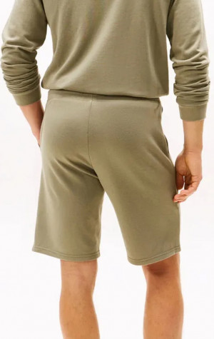 Pánské kraťasy Tommy Hilfiger UM0UM03452