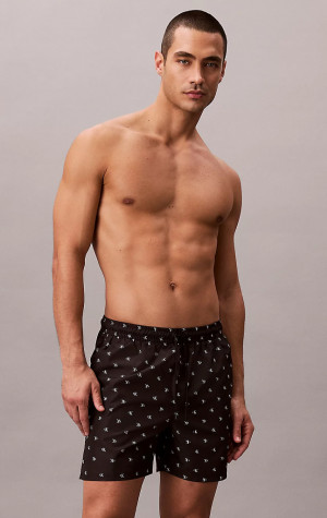 P&aacute;nsk&eacute; plavky Calvin Klein N61027