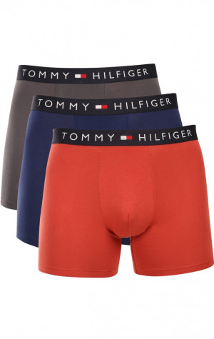 P&aacute;nske boxerky Tommy Hilfiger UM0UM03764 0UM 3PACK