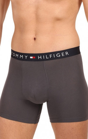 P&aacute;nske boxerky Tommy Hilfiger UM0UM03764 0UM 3PACK