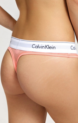 Dámska tangá Calvin Klein QF5849