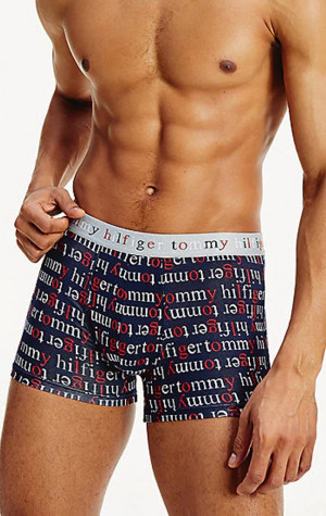 Pánské boxerky Tommy Hilfiger UM0UM01820