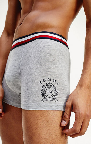 Pánské boxerky Tommy Hilfiger UM0UM01819