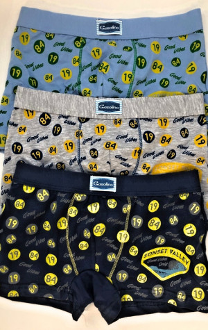 Dětsk&eacute; boxerky Gasoline U/3180