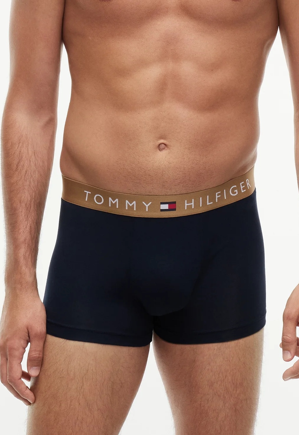 Pánské boxerky Tommy Hilfiger UM0UM03908 3PACK