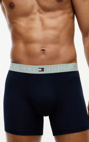 Pánske boxerky Tommy Hilfiger UM0UM03969 3PACK