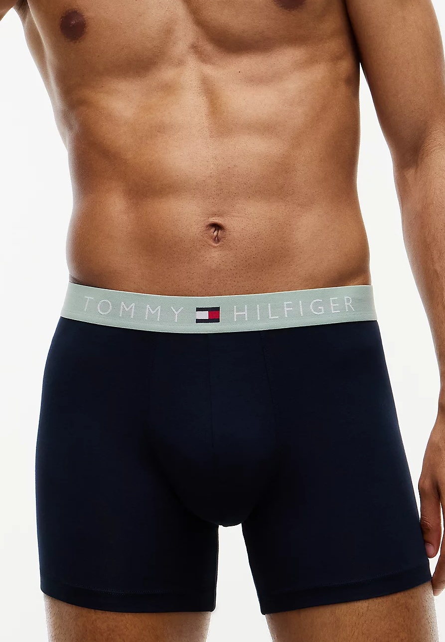 Pánske boxerky Tommy Hilfiger UM0UM03969 3PACK