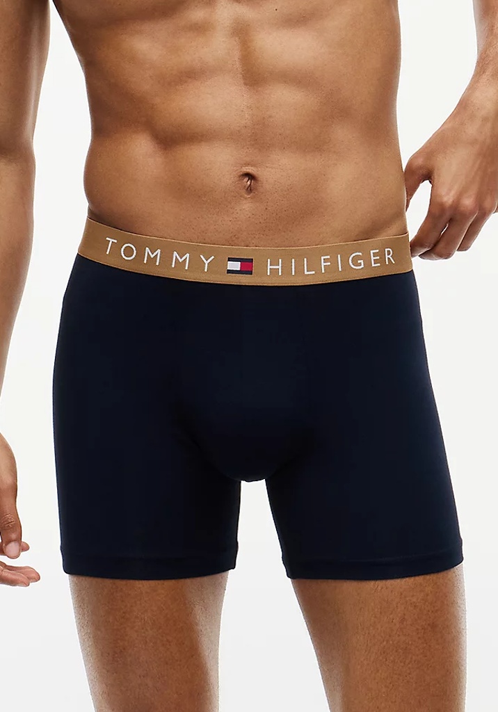 Pánske boxerky Tommy Hilfiger UM0UM03969 3PACK