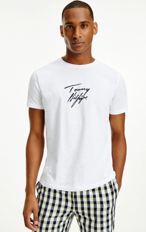 Pánské tričko Tommy Hilfiger UM0UM02245