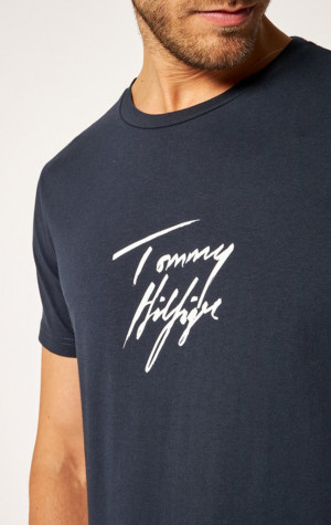 Pánské tričko Tommy Hilfiger UM0UM02245