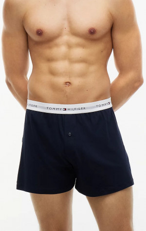 Pánské trenýrky Tommy Hilfiger UM0UM04040