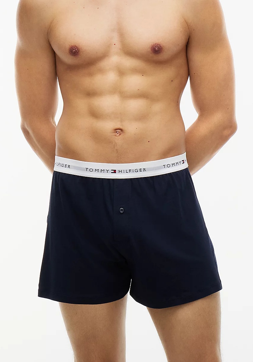Pánské trenýrky Tommy Hilfiger UM0UM04040