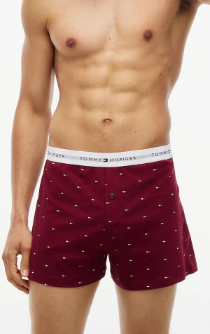 Pánské trenýrky Tommy Hilfiger UM0UM04040