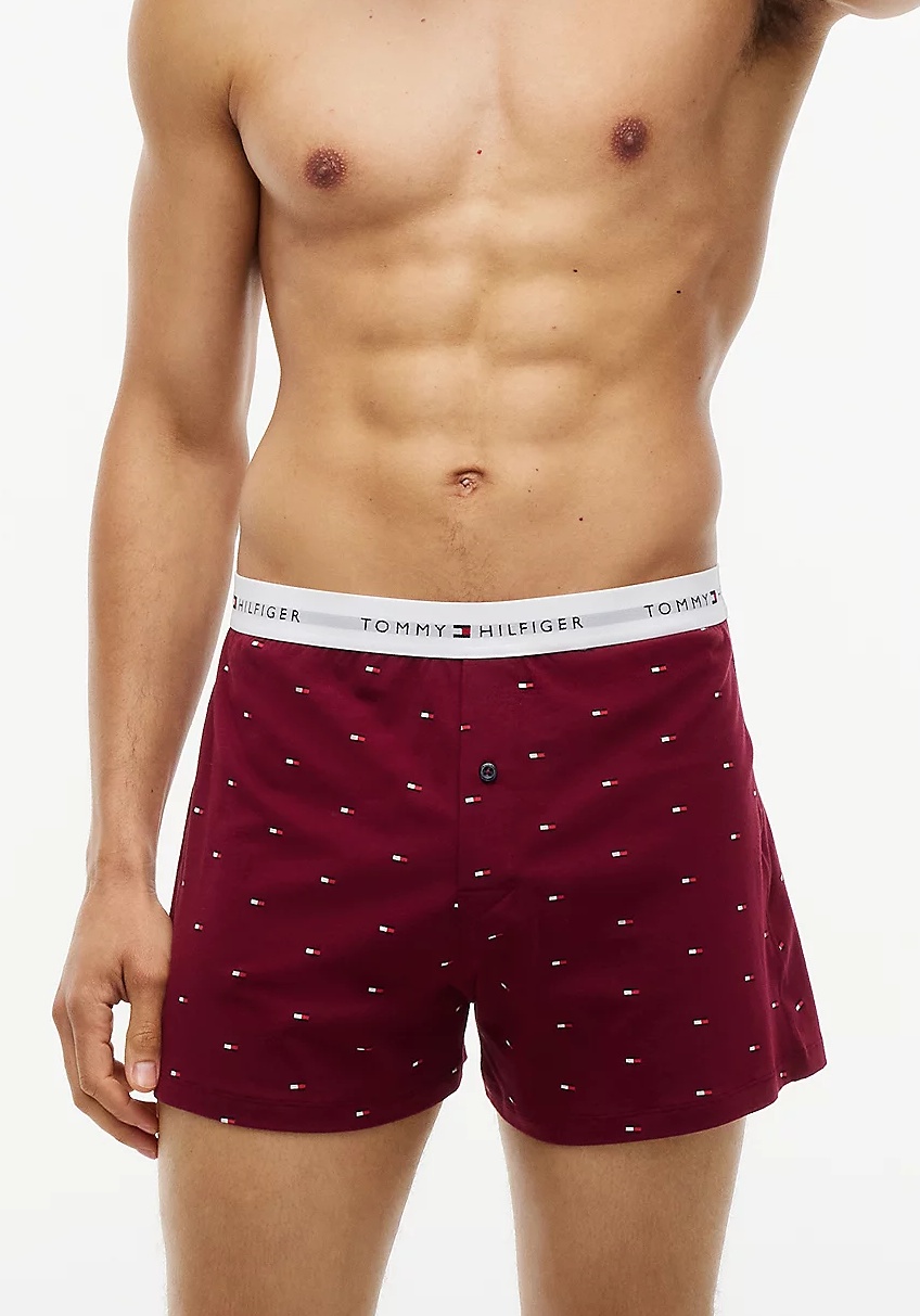 Pánské trenýrky Tommy Hilfiger UM0UM04040
