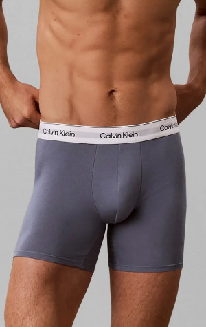 Pánské boxerky Calvin Klein NB4848 X2V 3PACK
