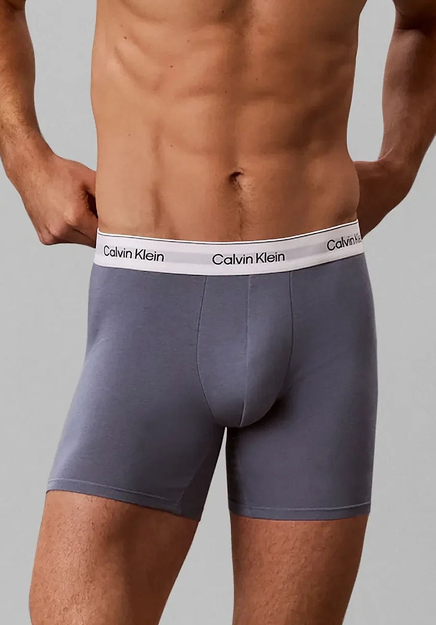 Pánské boxerky Calvin Klein NB4848 X2V 3PACK