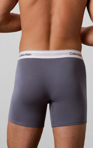 Pánské boxerky Calvin Klein NB4848 X2V 3PACK